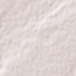 Genaro Estrada Terrain Map