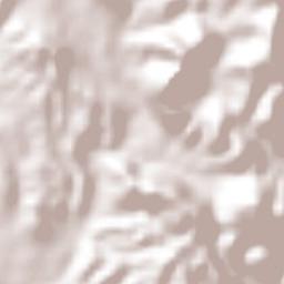 Santa María del Oro Terrain Map