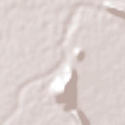 Paredón Terrain Map