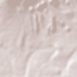 El Carmen Nuevo León Terrain Map