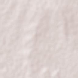 La Palmita Nuevo Leon Terrain Map