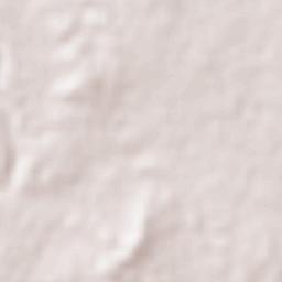 Doctor Coss Nuevo León Terrain Map