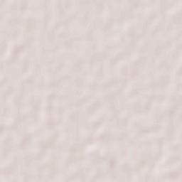 Vallejo (Porvenir Vallejo) Terrain Map