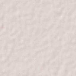 CERESO Nuevo Terrain Map