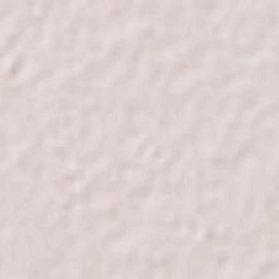 Bermejillo Terrain Map