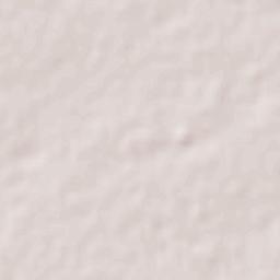 Ciudad Satélite del Norte Terrain Map