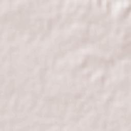 Hacienda San Pedro Terrain Map