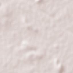 General Zuazua Terrain Map