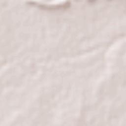 Los Herreras Terrain Map