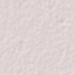 Felipe Angeles Terrain Map