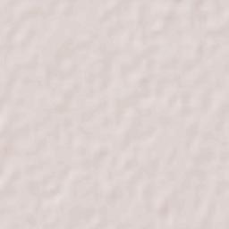 Ejido Cinco de Mayo Terrain Map