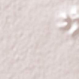 Concentración 5 de Febrero Terrain Map