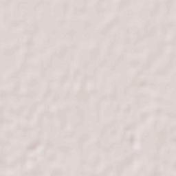 El Lequeitio Terrain Map