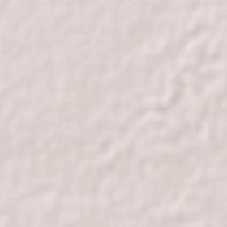 Entronque Laredo-Salinas Victoria Terrain Map