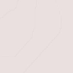 CEFERESO Número 3 Terrain Map