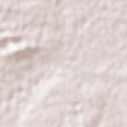 Sinaloa de Leyva Terrain Map