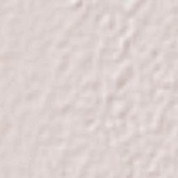 Seis de Octubre Terrain Map