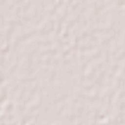 Jiménez Terrain Map