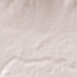 El Palmital Terrain Map