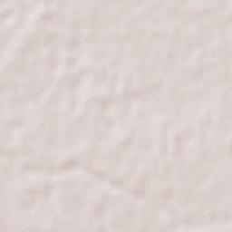 General Escobedo Terrain Map