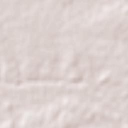 Artemio Treviño Terrain Map