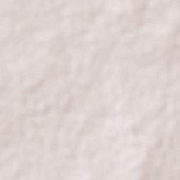 General Tapia Terrain Map