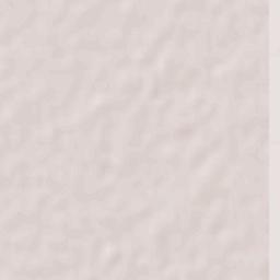 Río Bravo Terrain Map