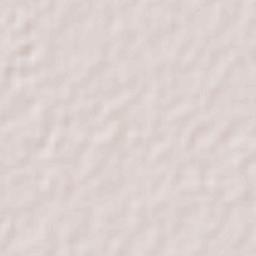 Plan de Ayala (Campo Cinco) Terrain Map