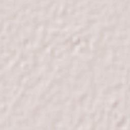 Los Mochis Terrain Map