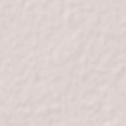 Concordia Terrain Map