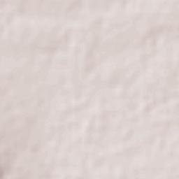 Ciudad General Escobedo Terrain Map