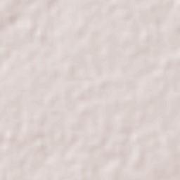 Ciudad Apodaca Terrain Map