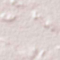 Pesquería Terrain Map