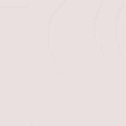 Anáhuac Terrain Map