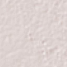 Bachomobampo Número Dos Terrain Map