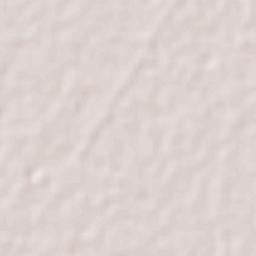 Ricardo Flores Magón Terrain Map