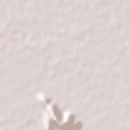 San Lorenzo Terrain Map