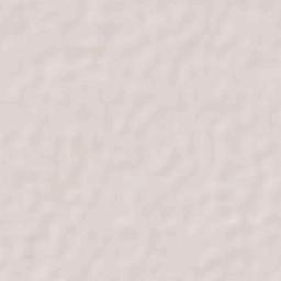 San Ignacio Terrain Map