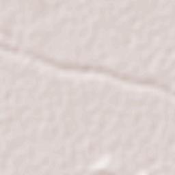 La Providencia Terrain Map