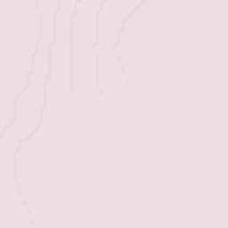 Matamoros Terrain Map