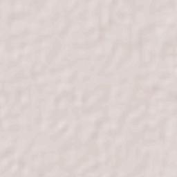 Adolfo Ruiz Cortines Terrain Map