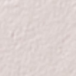 Estacion Bamoa Terrain Map