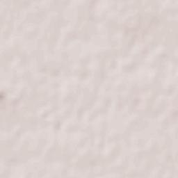 Francisco Villa Terrain Map