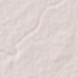 Altamira Terrain Map