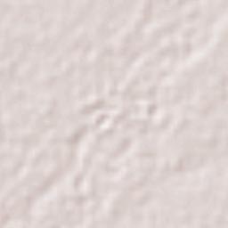 Cruz Blanca Terrain Map