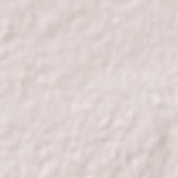 Alfredo V. Bonfil (Siete Ejidos) Terrain Map