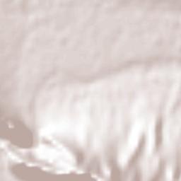 Santa Catarina Terrain Map