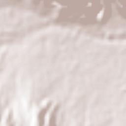 Garza García Terrain Map