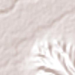 Guadalupe Terrain Map