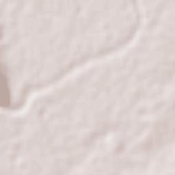 Los Dos Ríos Terrain Map